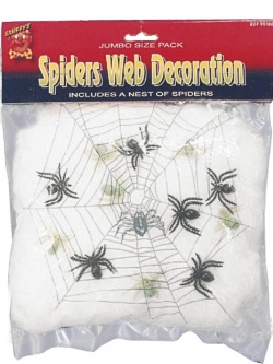 Velká pavučina s 6 pavoučky